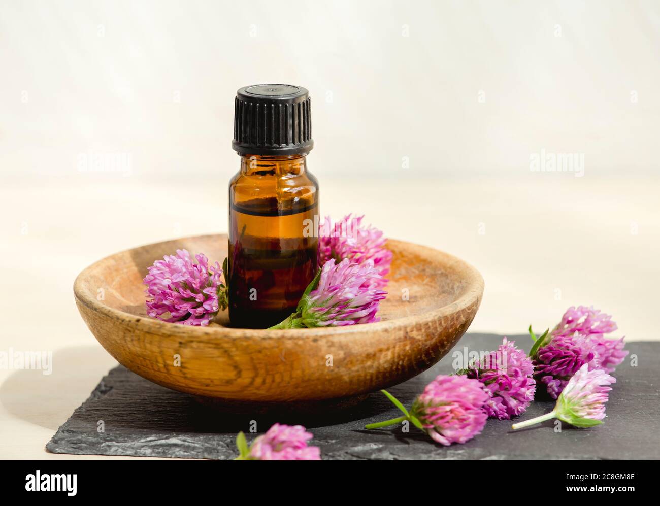 Selektiver Fokus auf Trifolium Pratense die Tinktur-Flasche mit roten Kleeblatt und gepflückten Blüten für die Dekoration im Studio. Stockfoto