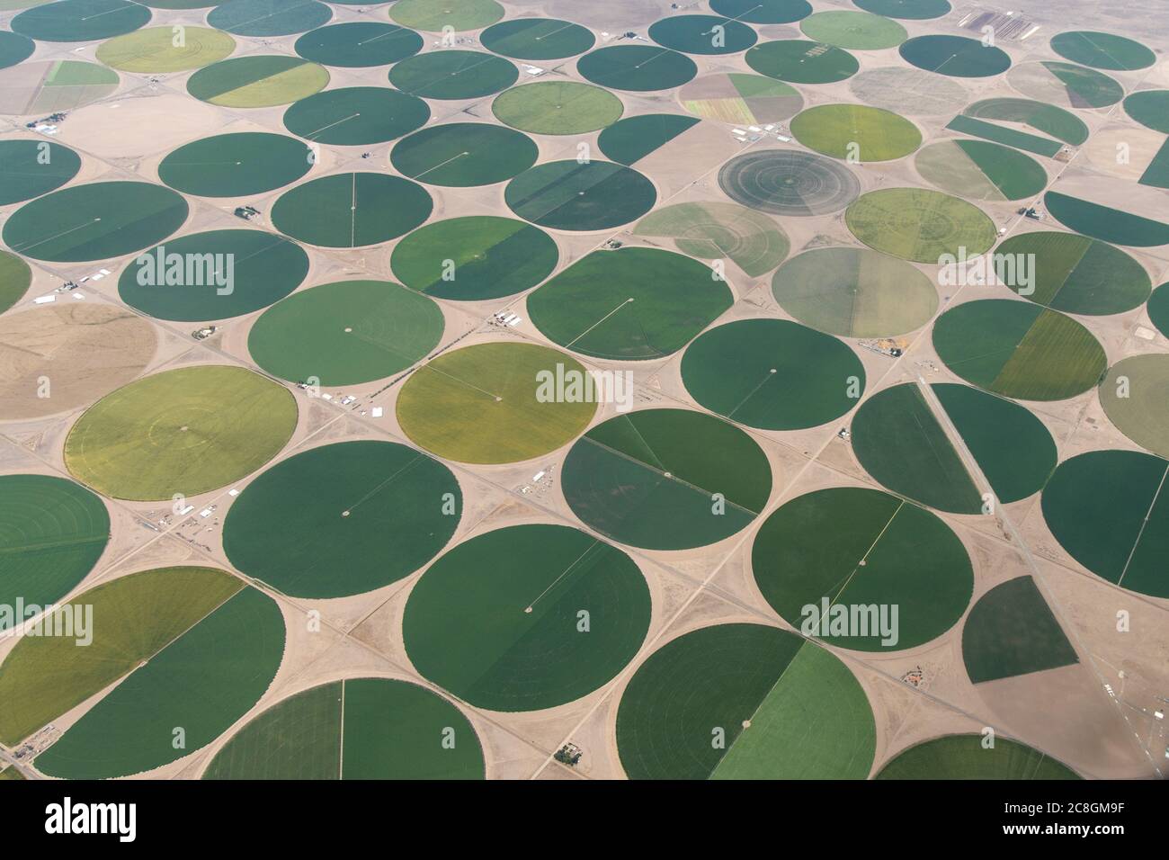 Luftaufnahme von kreisförmigen bewässerten Feldern in Colorado, USA Stockfoto