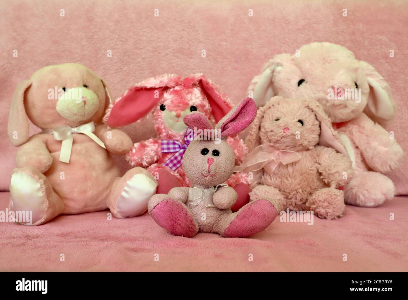 Vielfalt? Gruppe von rosa gefüllten Hasen vor einem rosa Hintergrund Stockfoto