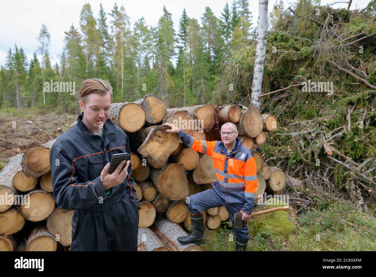 Reifer Mann Überprüfung gehacktes Holz mit glücklichen jungen Mann mit Telefon außerhalb des Waldes Stockfoto