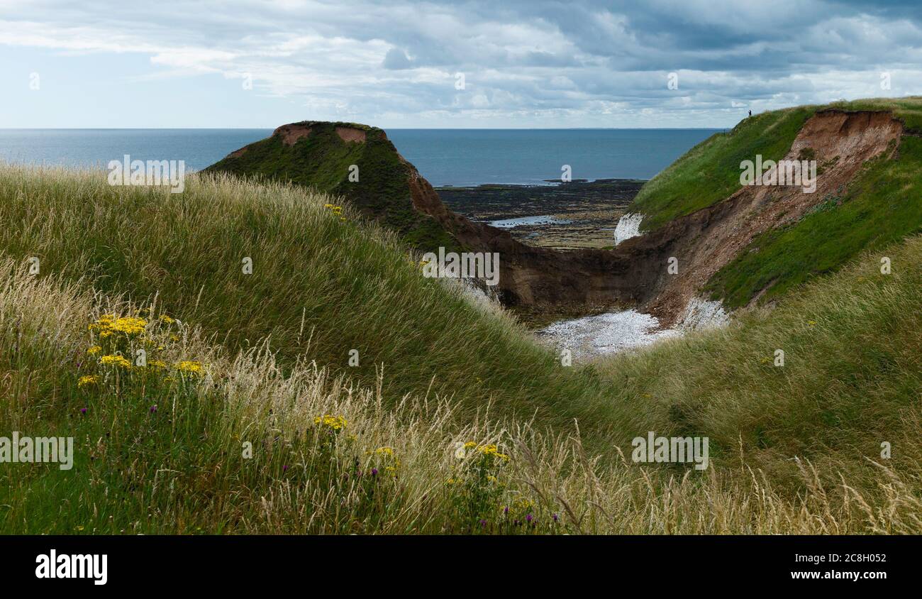 Landschaft mit überwucherten Gräsern, erodierten Klippen und Nordsee unter dem Himmel mit Wolken im Sommer in Flamborough Head, Yorkshire, Großbritannien. Stockfoto