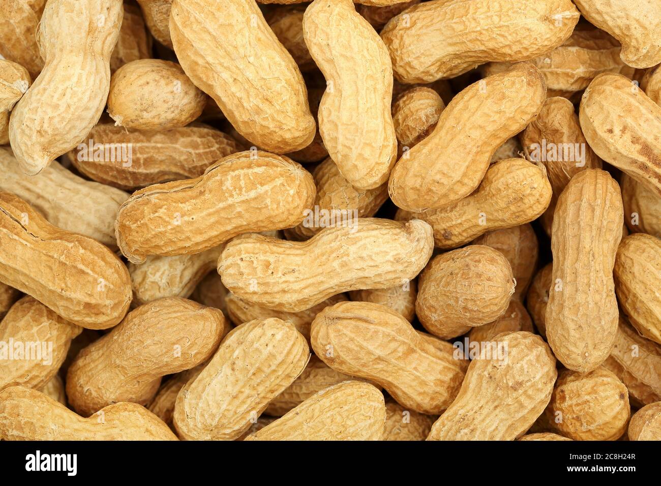 Große Anzahl von geschälten Erdnüssen Stockfoto