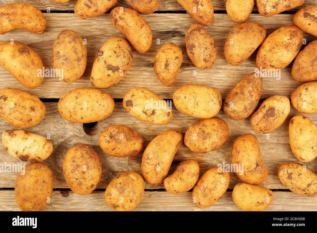 Anzahl der rohen Babykartoffeln auf Holz Stockfoto