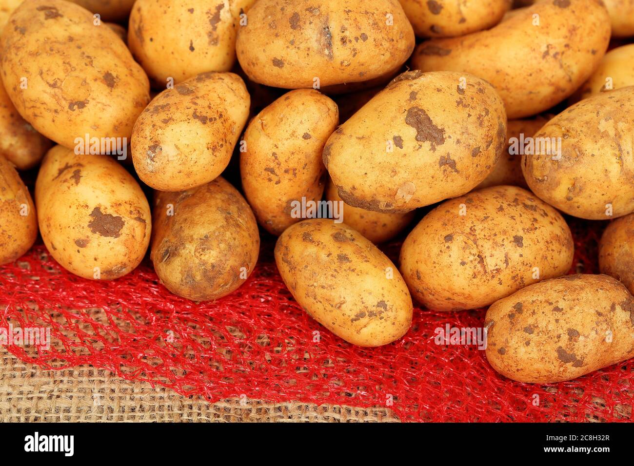 Haufen roher Babykartoffeln auf Sack Stockfoto