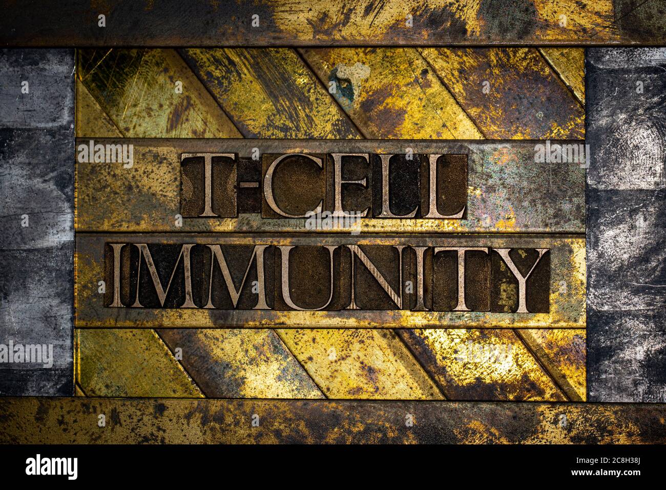 T-Cell Immunity Text mit echten authentischen Buchstaben auf vintage texturierten Silber Grunge Kupfer und Gold Hintergrund gebildet Stockfoto