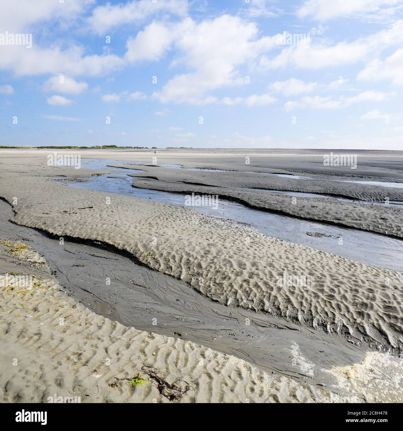 Somme-Bucht bei Ebbe, Le Hourdel, Cayeux sur Mer, Somme, Hauts-de-France, Frankreich Stockfoto