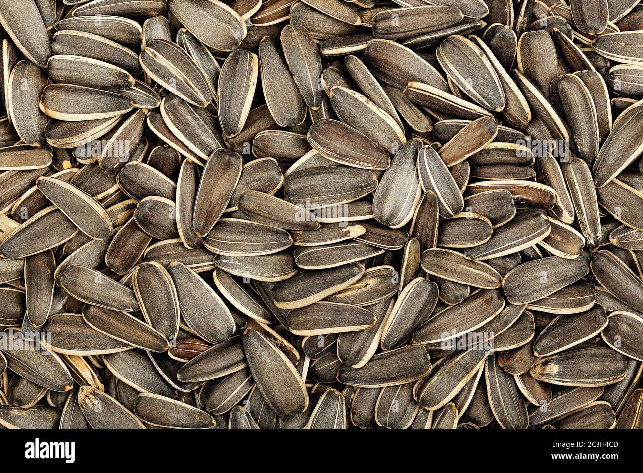 Viele ungesalzene Suflower-Samen für den Hintergrund Stockfoto