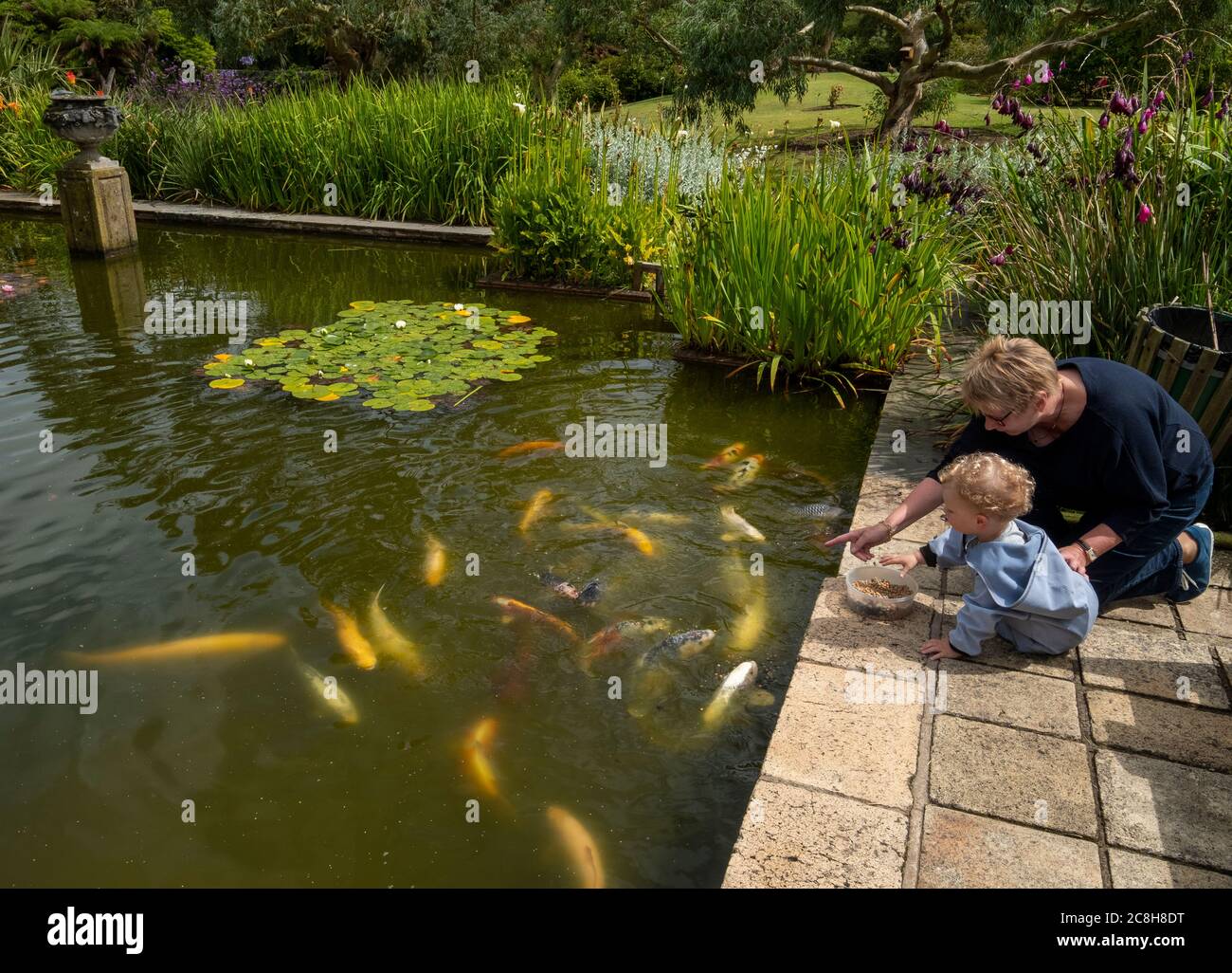Der Fischteich in den Logan Botanical Gardens, Dumfries und Galloway, Schottland. Stockfoto