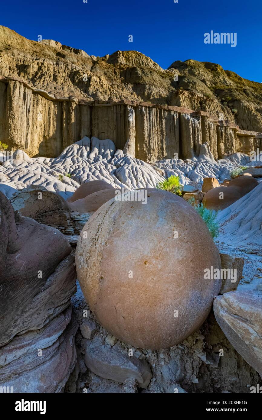 Kanonenkugeln sind Konkretionen, die natürlich im Theodore Roosevelt National Park, North Unit, North Dakota, USA gebildet werden Stockfoto
