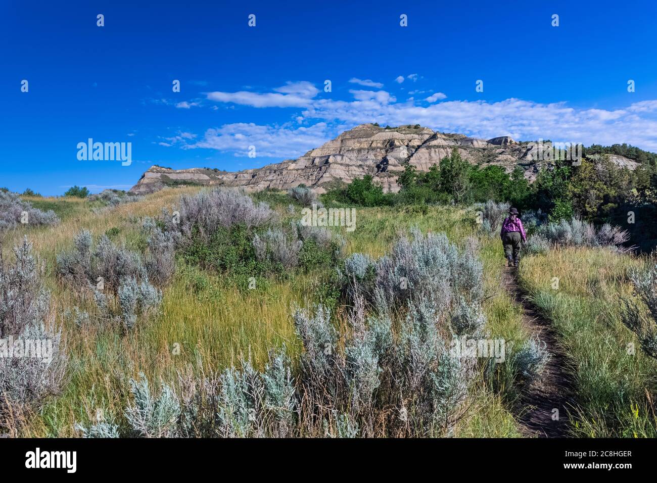 Butes und die Landschaft entlang des Caprock Coulee Nature Trail im Theodore Roosevelt National Park, North Unit, North Dakota, USA Stockfoto