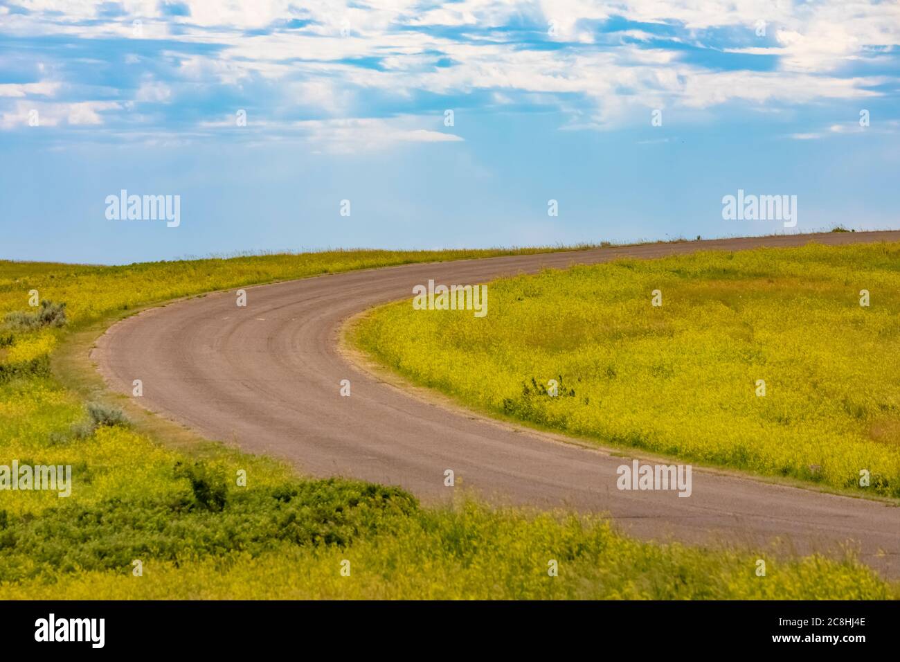 Kurviger Weg durch die Prärie in der Gegend über dem Little Missouri River im Theodore Roosevelt National Park, North Unit, in North Dakota, USA Stockfoto