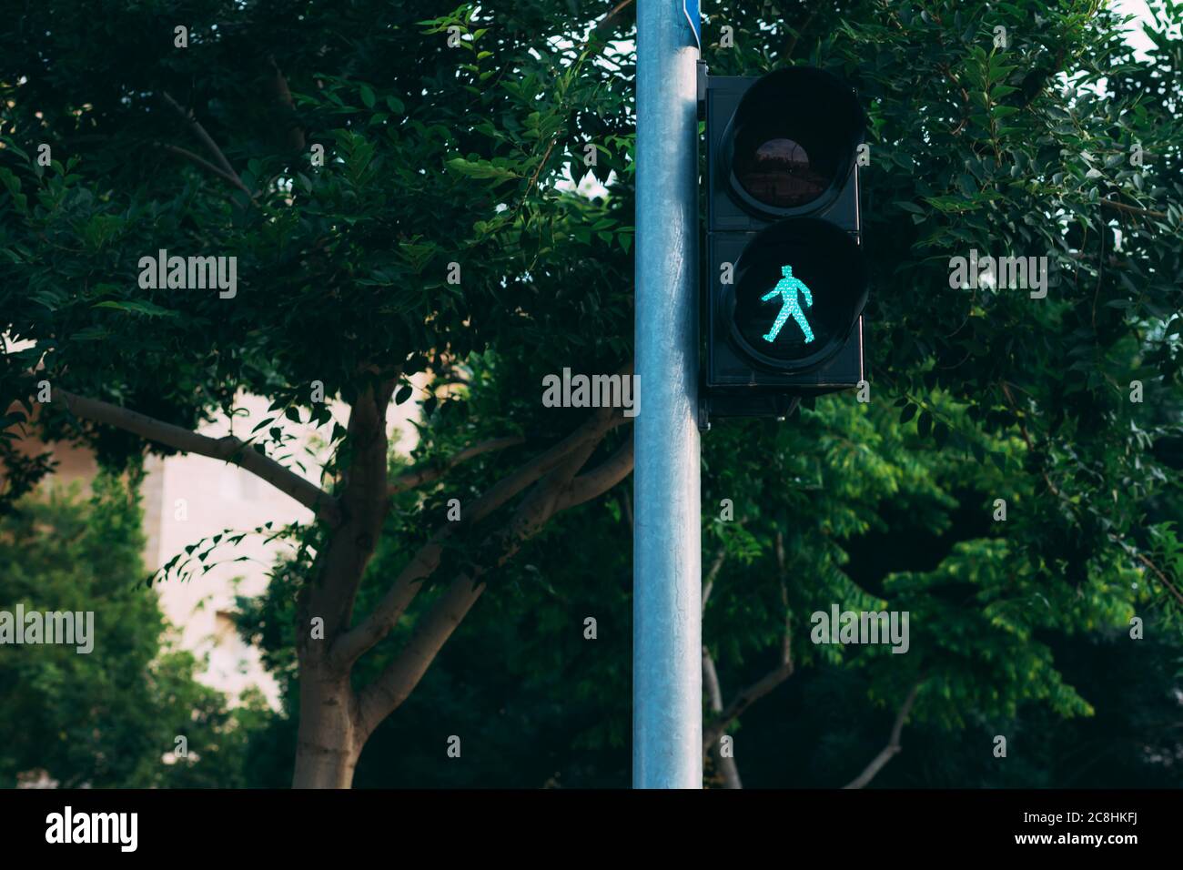 Ampel auf einer Stange mit einem grünen Licht in Form eines Mannes. Ampel mit grüner Ampel und sicher zu bewegen. Grünes Signal für Fußgänger. Zeit t Stockfoto