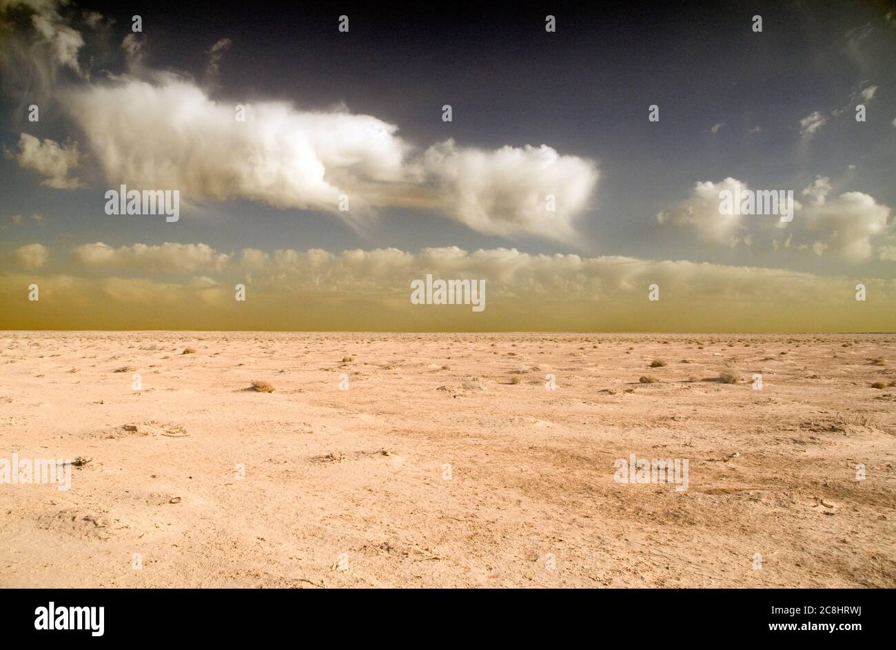 Die Badia Region der verlassenen jordanischen östlichen Wüste lang die Grenze von Saudi-Arabien, in der Nähe von al-Omari, Jordanien. Stockfoto