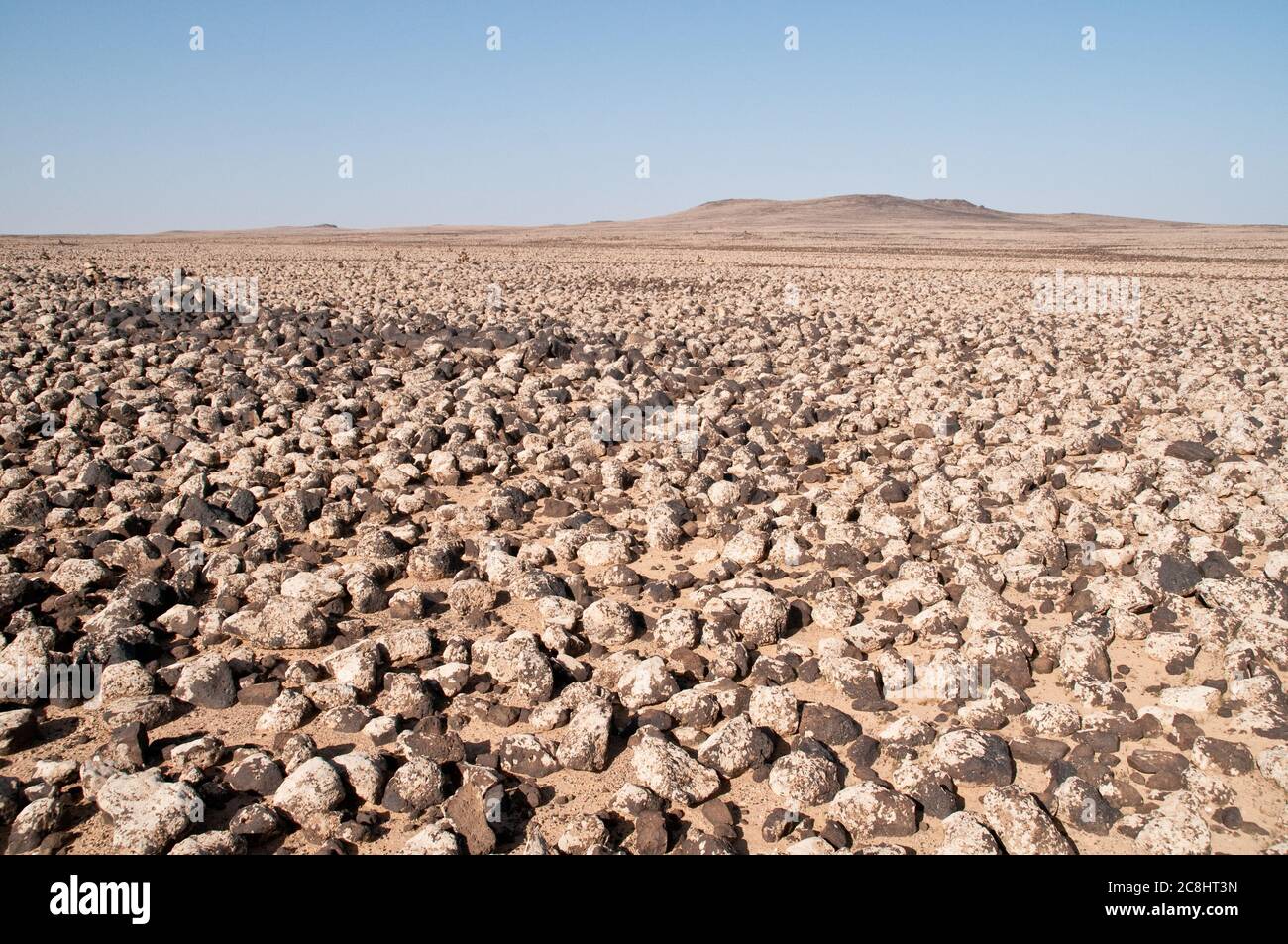 Basaltsteine und Felsen aus uralten Vulkanen bedecken die östliche Wüste, die "schwarze Wüste", in der Region Badia des Haschemitischen Königreichs Jordanien. Stockfoto