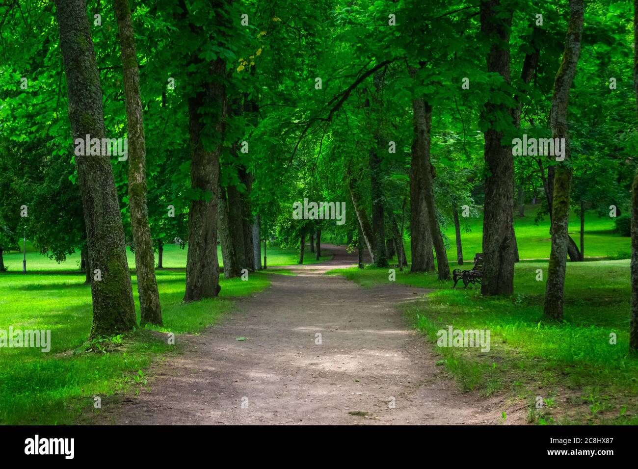 Pfad in einem öffentlichen Park umgeben von üppigen grünen Wäldern an einem sonnigen Tag. Schöne Straße im Stadtpark. Niemand Stockfoto