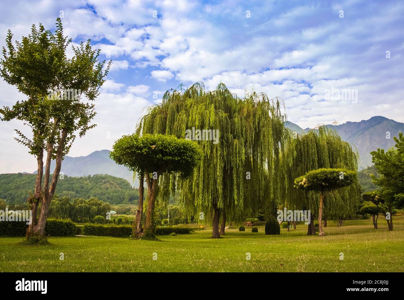 Plüsch grüner Park neben einem schönen See in Kaschmir. Dal Lake, Botanischer Garten Stockfoto