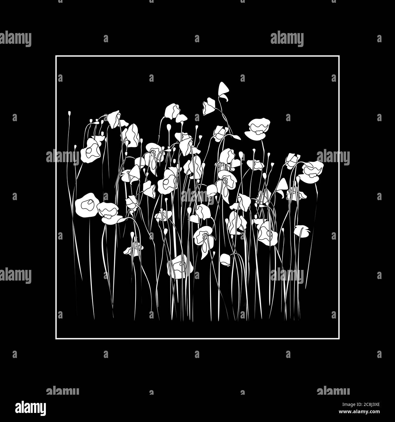 Dunkle Gothic Illustration mit Umriss weißen Mohnblumen auf schwarzem Hintergrund Stock Vektor