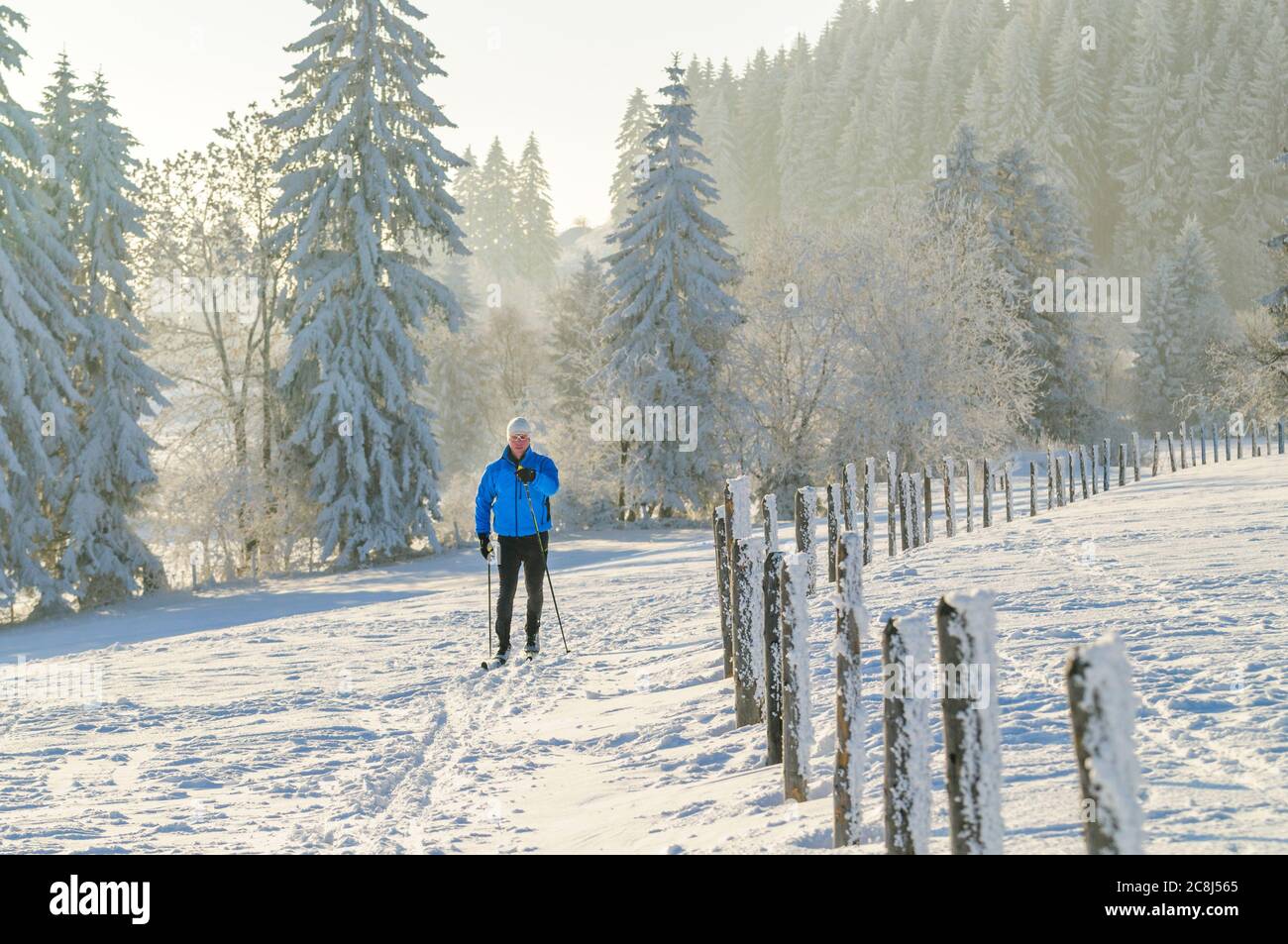 Entspannte Tour auf cc-Ski im klassischen Stil in winterlicher Natur Stockfoto