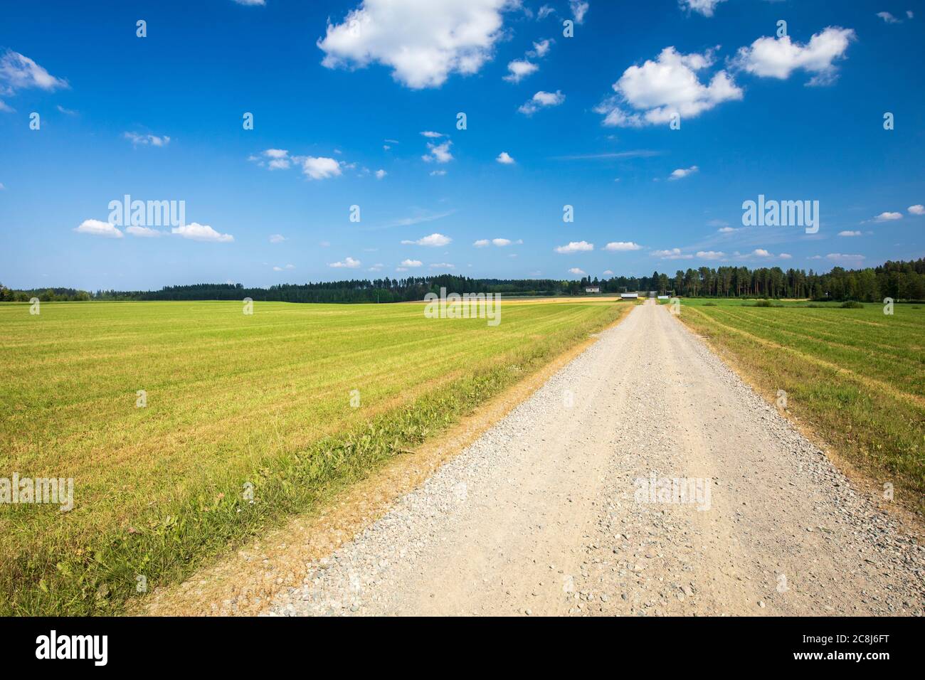 Lange gerade Feldstraße durch Ackerland im Sommer auf dem Land, Finnland Stockfoto