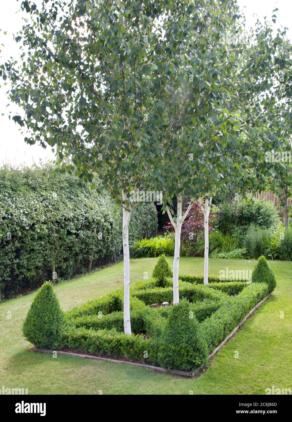 Hausgarten und Pflanzen Stockfoto