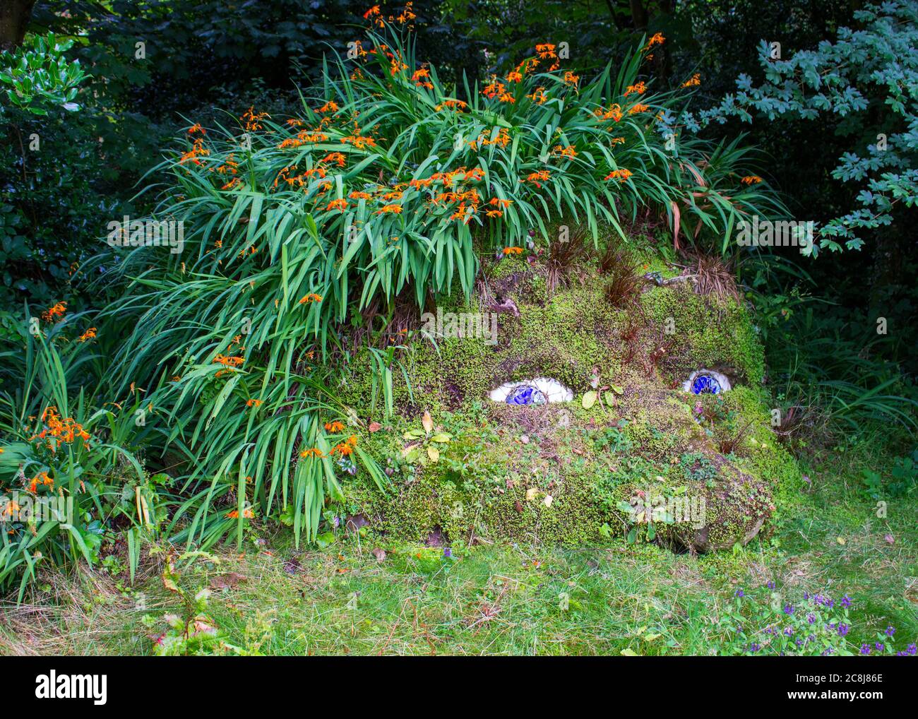 Der Riese der verlorenen Gärten von Heligan. Stockfoto