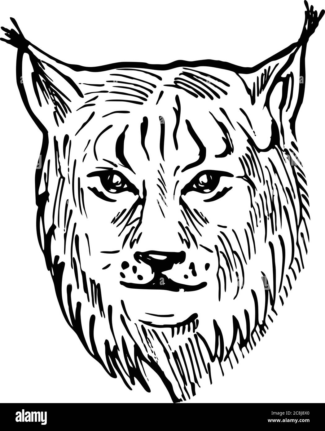 Scratchboard-Stil Illustration des Kopfes eines eurasischen Luchs, eine mittelgroße Wildkatze aus Nord-, Mittel- und Osteuropa aus Fr. Stock Vektor