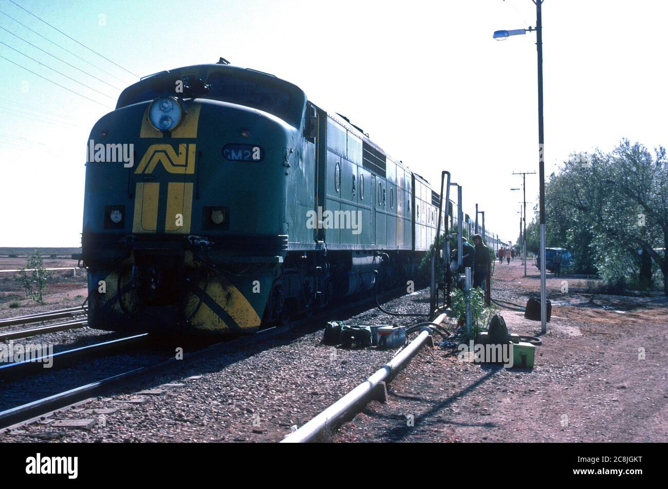 Der Trans-Australische Zug in Cook, South Australia. November 1987. Stockfoto