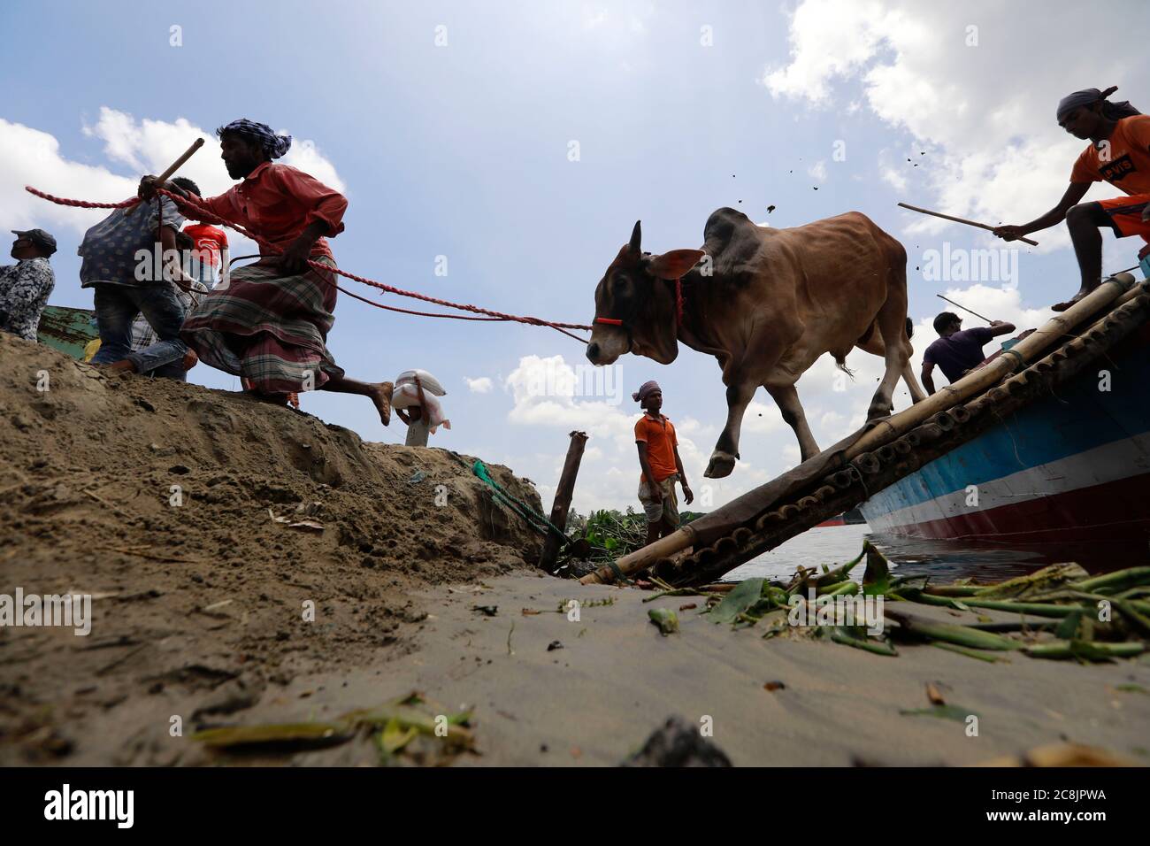 Dhaka, Bangladesch. Juli 2020. Händler aus Bangladesch laden ein Schiff mit Opfertieren für den kommenden Eid al-Adha auf dem Viehmarkt in Dhaka, Bangladesch, 25. Juli 2020. Quelle: Suvra Kanti das/ZUMA Wire/Alamy Live News Stockfoto