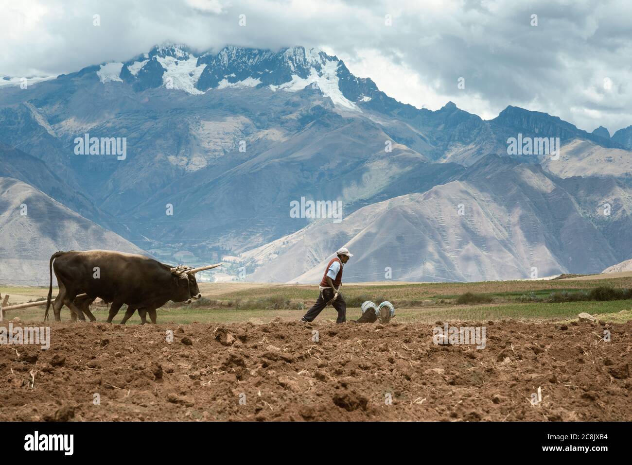 Maras, Urubamba Valley, Peru - 18. Oktober 2012: Pächter pflügt ein Feld für Kartoffeln. Stockfoto