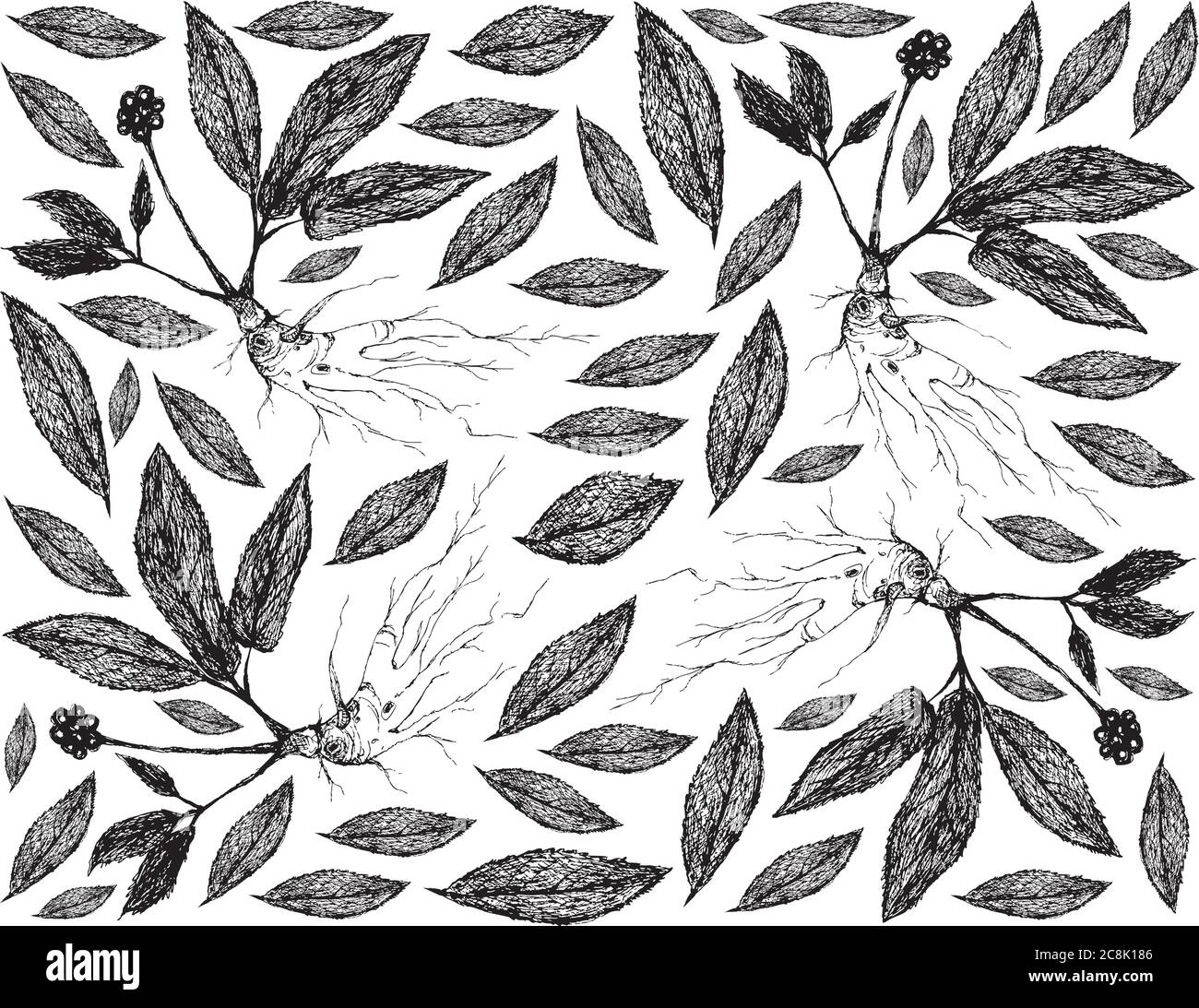 Kräuterblume und Pflanze, handgezeichnete Hintergrund von Ginseng Pflanzen für die traditionelle Medizin verwendet geglaubt, um Energie zu steigern, Blutzucker und Cholest senken Stock Vektor