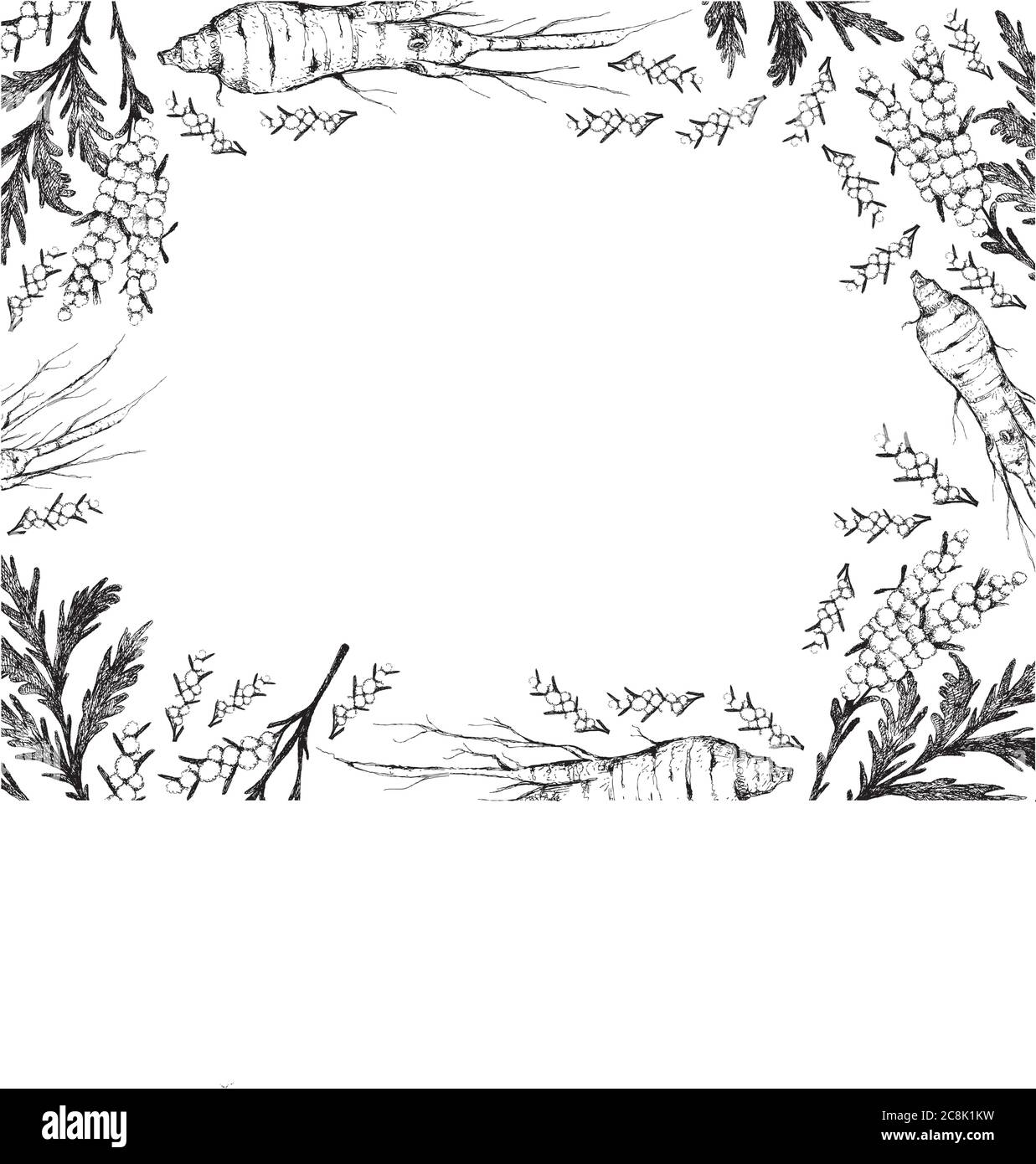 Kräuterblume und Pflanze, handgezeichnete Illustration Rahmen von Artemisia Absinthium oder Wermut Pflanzen und Ginseng Wurzel für die traditionelle Medizin verwendet. Stock Vektor