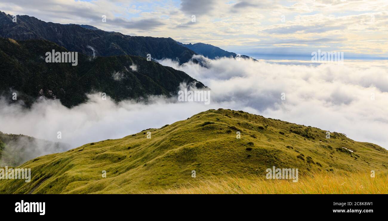 Berggipfel in Franz Josef, die sich über eine Wolkeninversion aus der Sicht des Gipfels von Alex Knob erheben. Franz Josef Gletscher, Südinsel, Neuseeland. Stockfoto