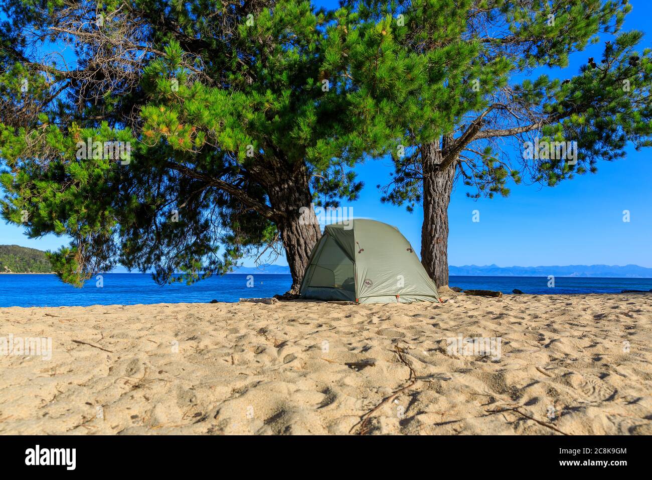Ein Zelt für wild campen am Apple Tree Bay Strand von Bäumen mit Blick auf das Meer umgeben. Abel Tasman National Park, Südinsel, Neuseeland. Stockfoto