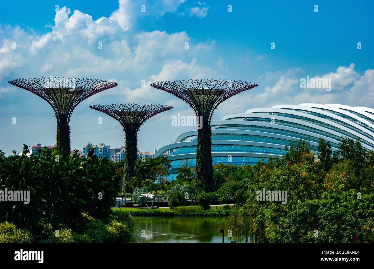 Singapur Garten durch die Bucht Stockfoto