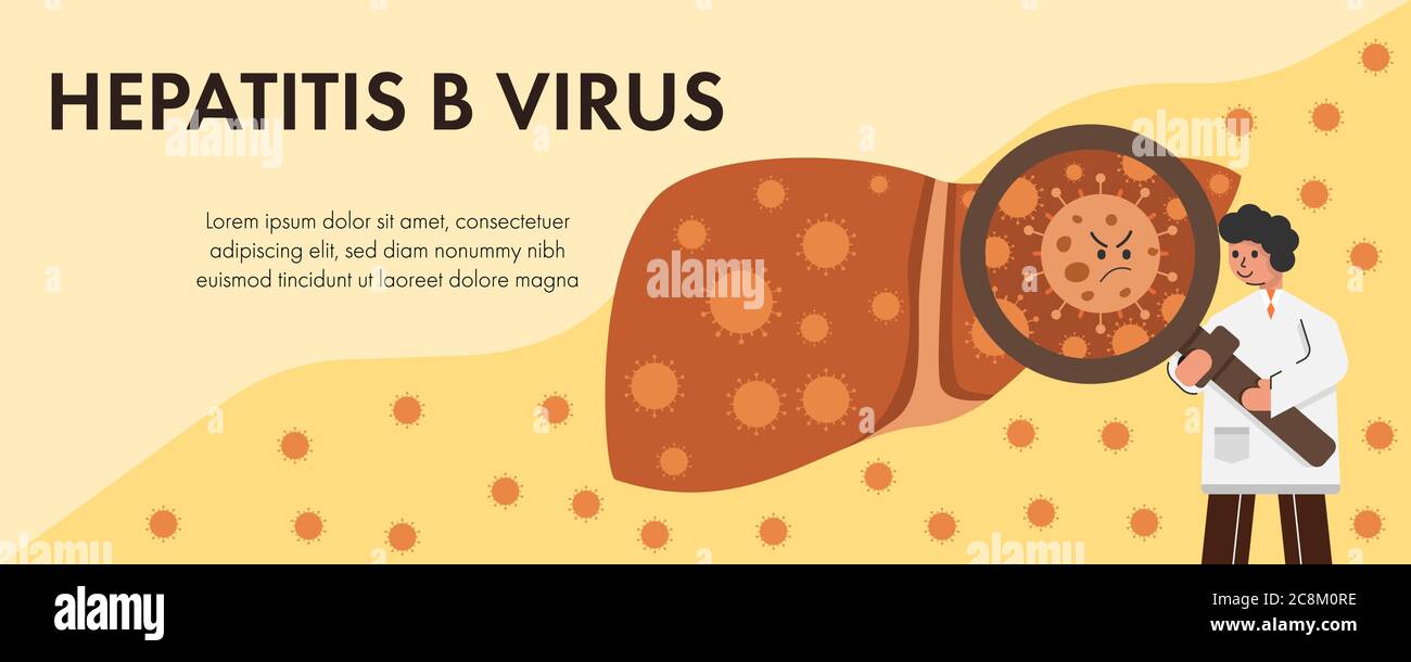 Arzt untersuchen Hepatitis B-Virus in der Leber mit Lupe. Konzept Leberhepatitis Infektion Vektor-Illustration. Stock Vektor