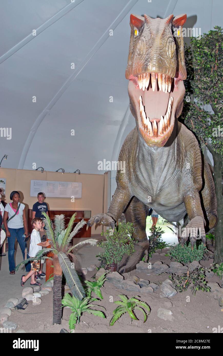 Dinosaurier-Ausstellung Stockfoto