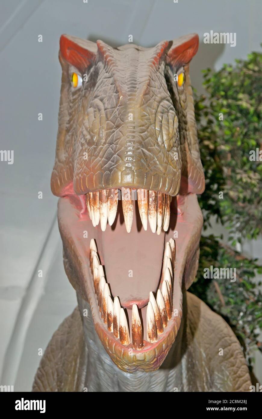 Dinosaurier-Ausstellung Stockfoto