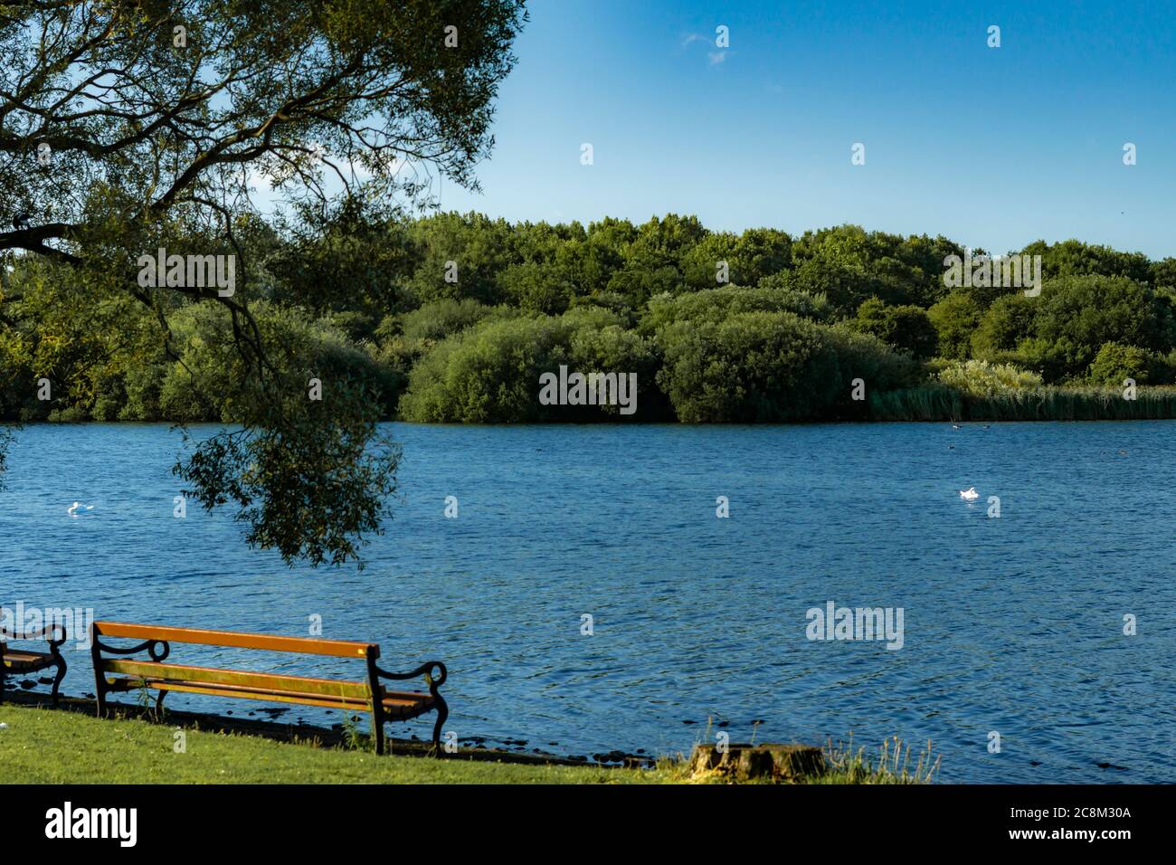 Ein schöner Blick am Seeufer auf die umliegende Landschaft. Ein guter Ort, um sich hinzusetzen und zu entspannen, während man die malerische Landschaft genießen kann, ein Stockfoto