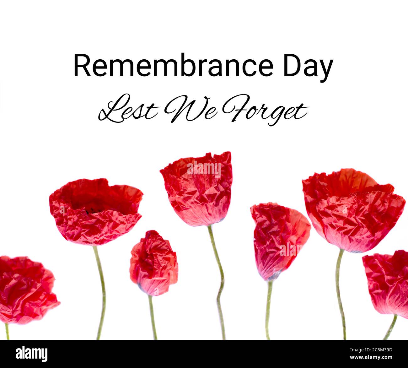 Erinnerungsmohn Foto und damit wir nicht vergessen, das Konzept Banner. Anzac Tag auch als Waffenstillstandstag bekannt. Stockfoto