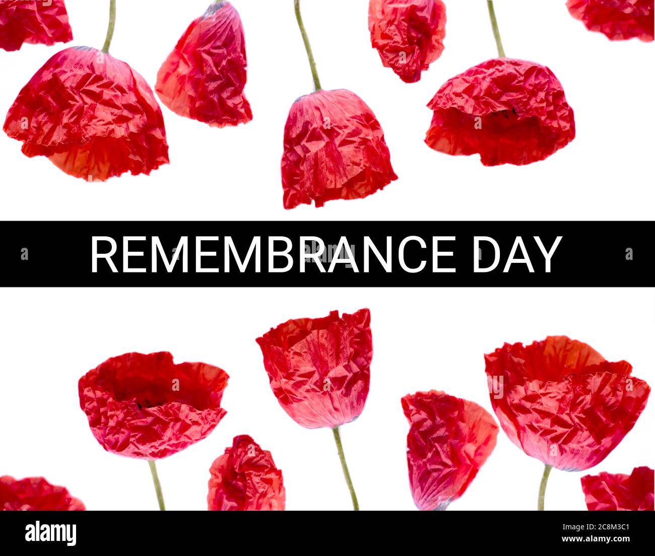 Erinnerungsmohn Foto und damit wir nicht vergessen, das Konzept Banner. Anzac Tag auch als Waffenstillstandstag bekannt. Stockfoto