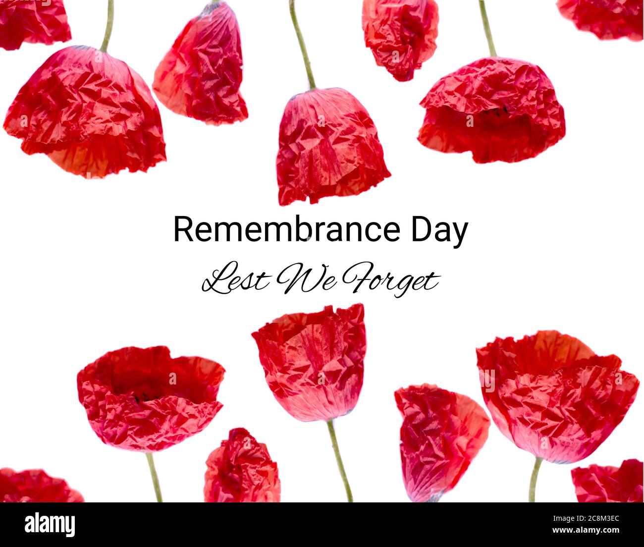 Erinnerungsmohn Foto und damit wir nicht vergessen, das Konzept Banner. Anzac Tag auch als Waffenstillstandstag bekannt. Stockfoto