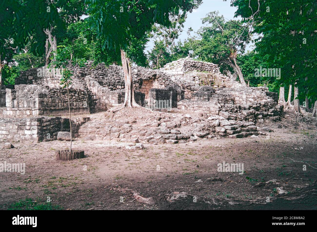 Struktur IV - Chicanna Maya Ruinen. Campeche, Mexiko. Vintage Film Bild - ca. 1990 Stockfoto