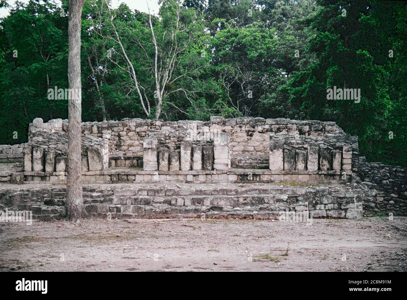 Chicanna Maya Ruinen. Campeche, Mexiko. Vintage Film Bild - ca. 1990 Stockfoto