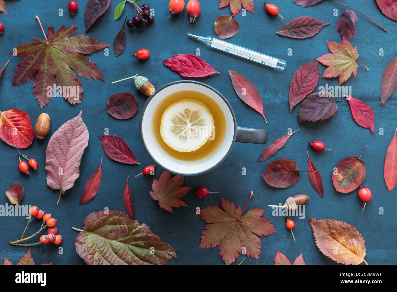 Grippesaison, Kältekonzept. Herbstfarben, reife Hagebutten mit einer Tasse heißen Tee mit Zitrone, Quecksilberthermometer mit hoher Temperatur an Stockfoto