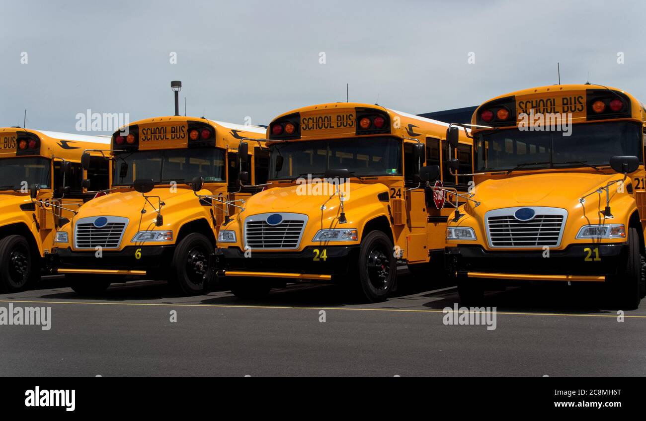 Eine einzige Reihe von Schulbussen, Vorderansicht, im Sommer mitten am Tag Stockfoto