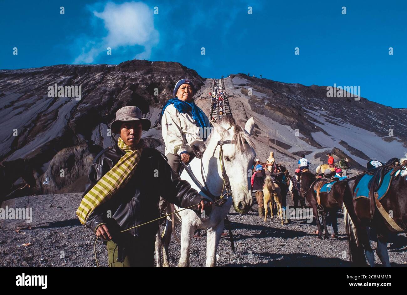 Pferd ist der Haupttransport für Touristen, die Savana, Mount Bromo, Ost-Java, Indonesien am 13. Juli 2004 besuchen Stockfoto