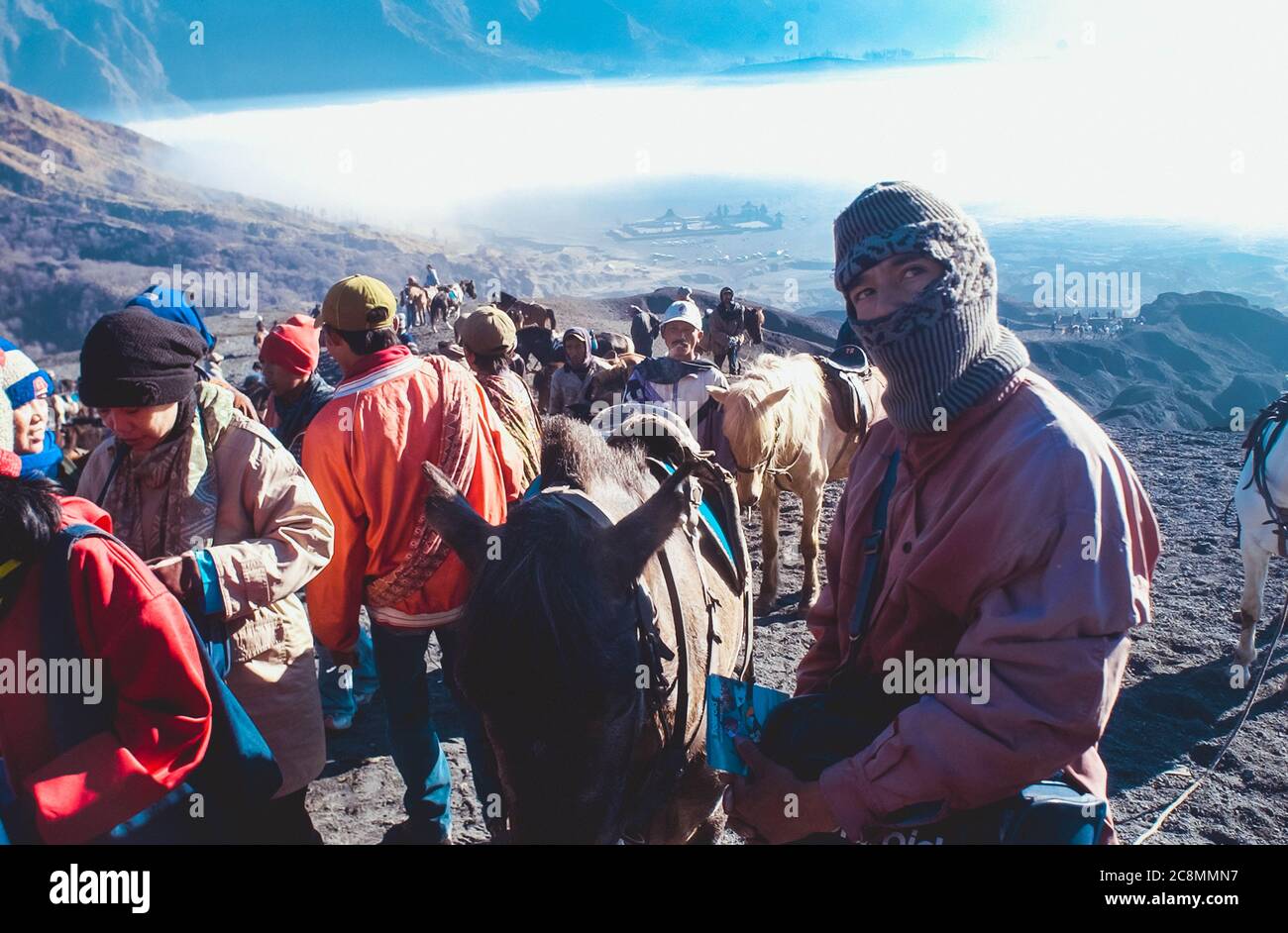 Pferd ist der Haupttransport für Touristen, die Savana, Mount Bromo, Ost-Java, Indonesien am 13. Juli 2004 besuchen Stockfoto