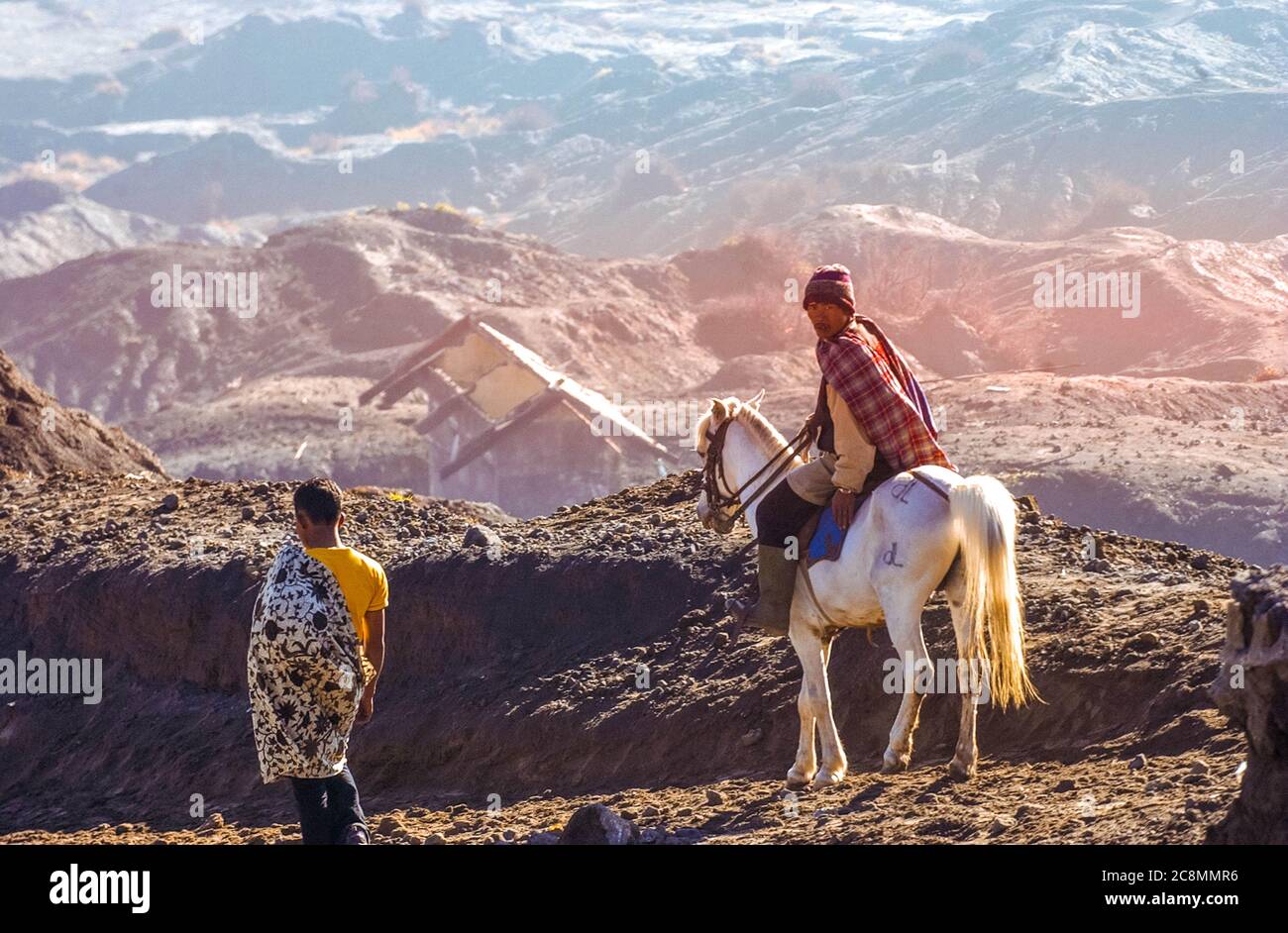 Pferd ist der Haupttransport für Touristen, die Savana, Mount Bromo, Ost-Java, Indonesien am 13. Juli 2004 besuchen Stockfoto