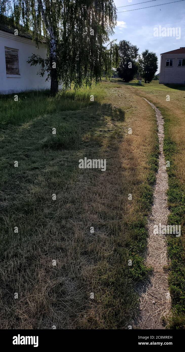 Ländliche Landschaft der Landschaft mit Birke und Fußweg auf grünem Rasen mit niemand Stockfoto