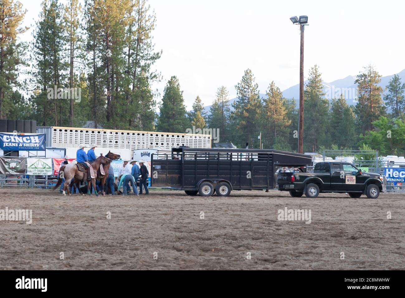 Ein Pferd wird nach einer Verletzung während der Sattelbronc-Veranstaltung am Kootenai River Stampede in Libby, Montana, am Freitag, 24. Juli 2020 evakuiert. Das jährliche Rodeo wurde mit zusätzlichen Sicherheitsmaßnahmen aufgrund steigender COVID-19-Fälle im Bundesstaat abgehalten. Stockfoto